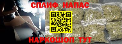 сатива Новозыбков