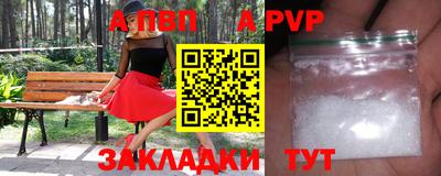 сатива Новозыбков