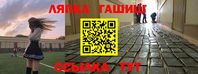 сатива Новозыбков
