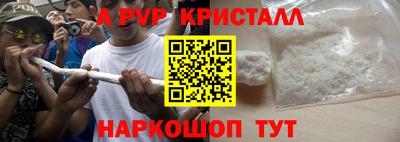 сатива Новозыбков