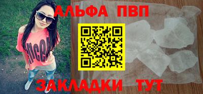 сатива Новозыбков